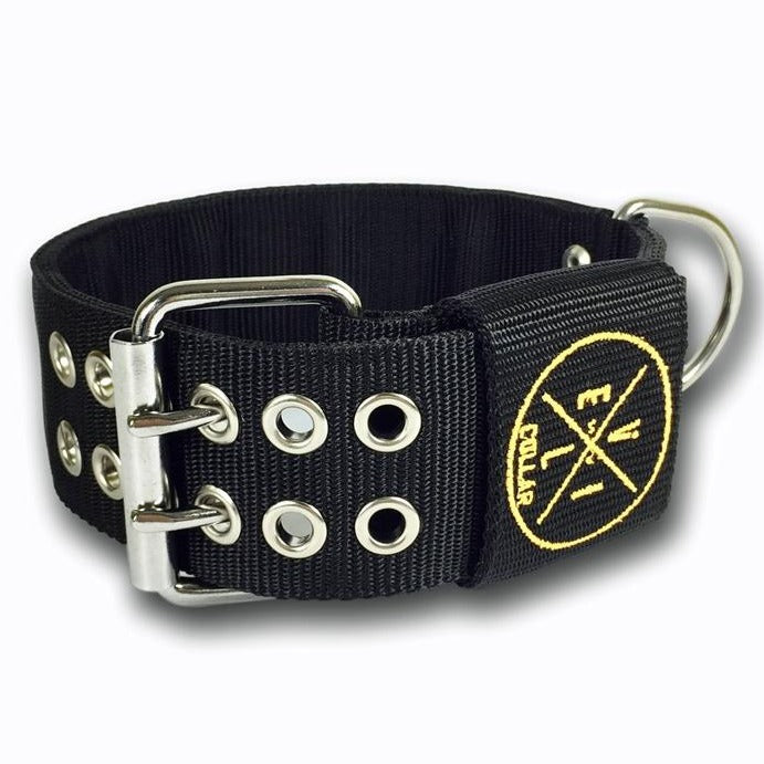 EvilCollar's tweet photo. EvilCollar - Collare Black Six 6cm
Shop now π https://t.co/dEPlnfPk17
#collari #collaripersonalizzati
#customcollars #collari #collaripersonalizzati #dogs #dogslife #staffy #staffylovers #pitbull #evilcollar #dog #americanbully #doggo #dogcollars https://t.co/tBEvv13XqY