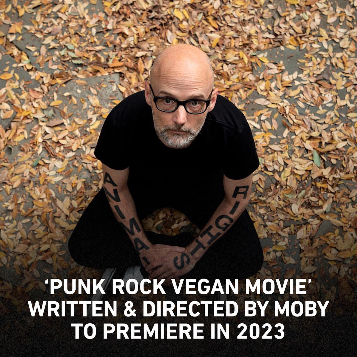23punk tweet media