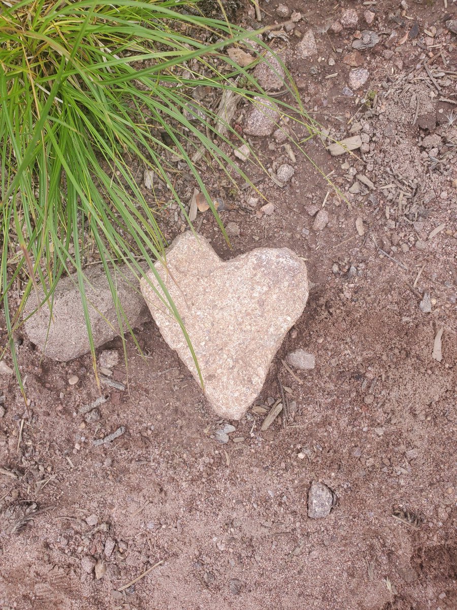 StillTr49987518's tweet photo. While backpacking I came upon this rock on the trail, as is. I left it so someone else could find it. May you find a heart rock on your trail tomorrow. #heartrock #trail #backpacking #love #lookforgood #happiness #joy https://t.co/6iXDKVOCB5