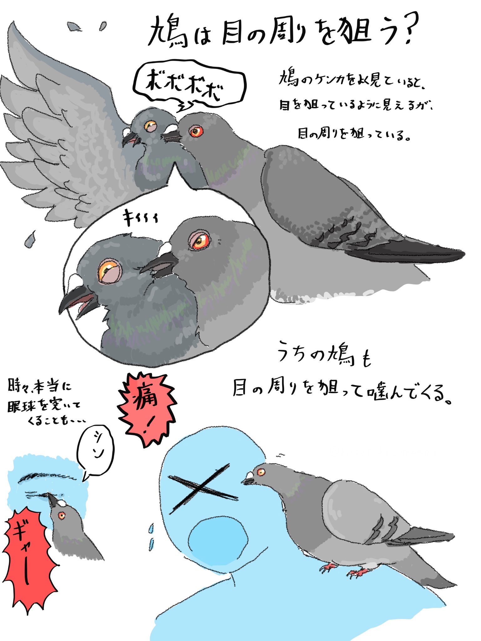 【もう喧嘩にならない】鳩ビーム&鳩ホルダー 豊島屋 - 豊島屋 鳩サブレー 鳩ビーム キーホルダー ライト 本店