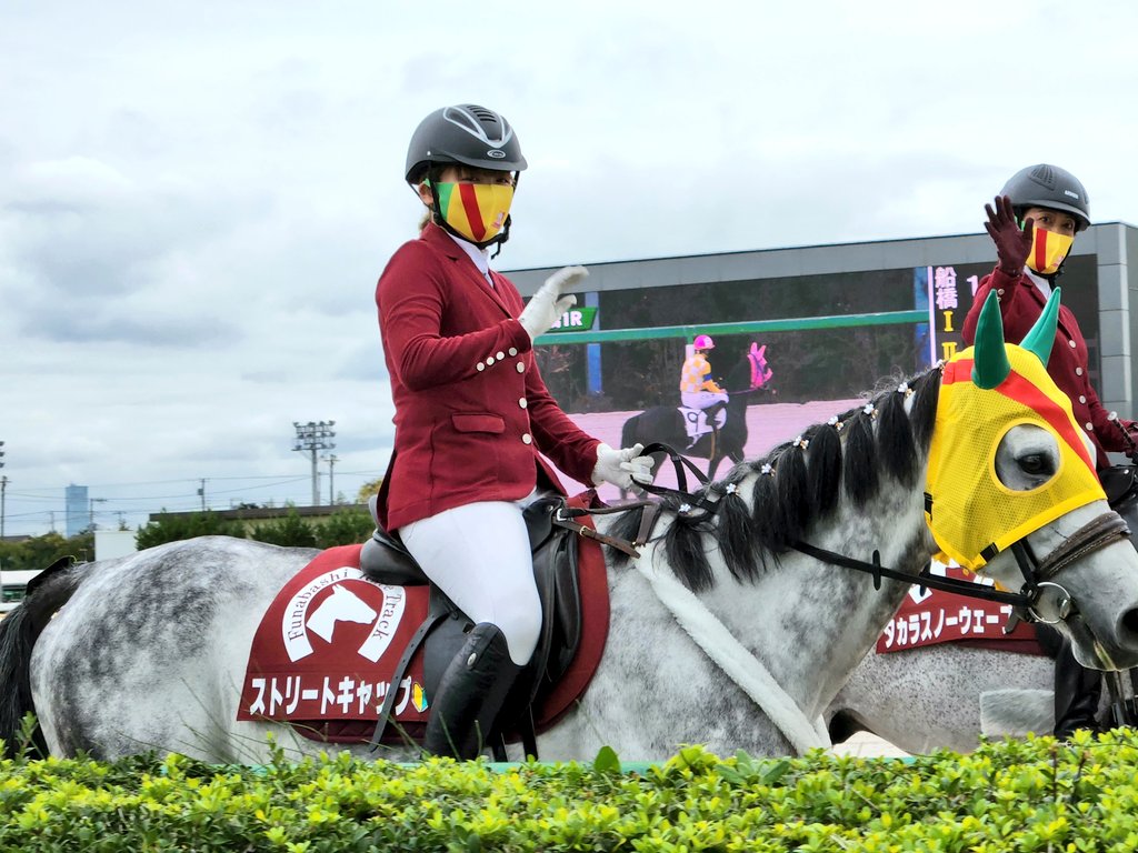 送料込 競馬 元東京競馬場誘導馬トウショウファルコの実使用ゼッケン
