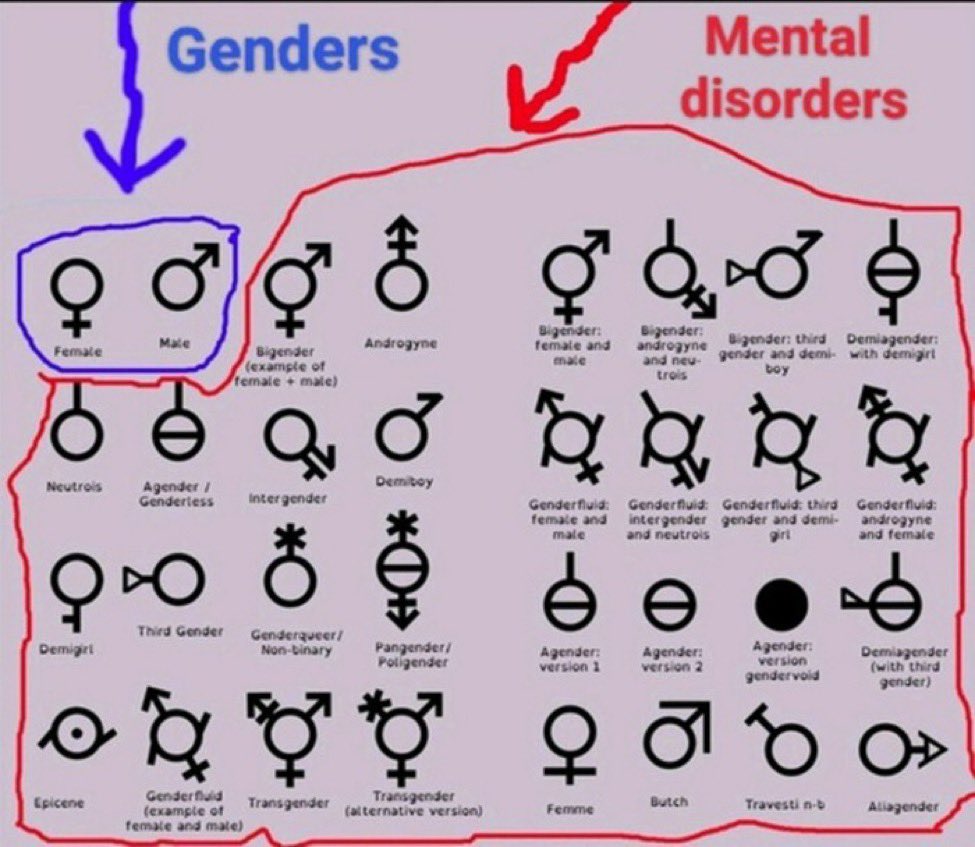 Mr_Ohhhh's tweet photo. @jordanbpeterson https://t.co/eTeeoNmIjK