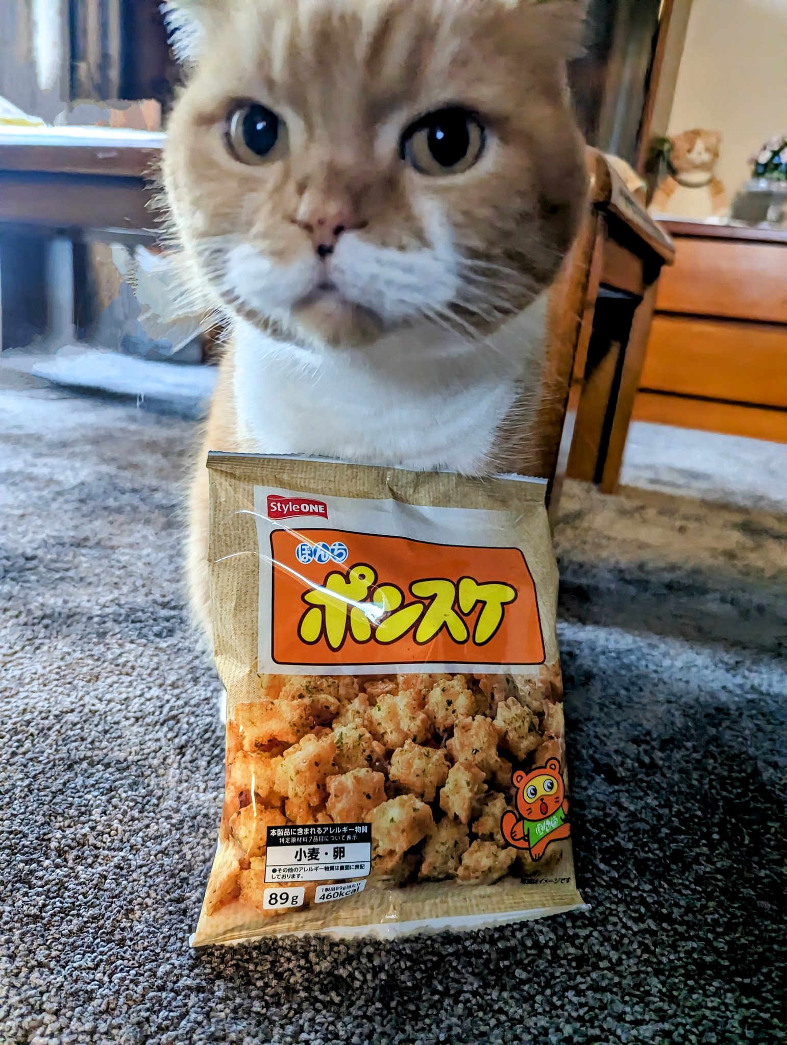 ポンスケ様❤️ご確認用です。 ポンスケ様❤️ご確認用です。 ぽん助 (@ponpokorinoske) / X