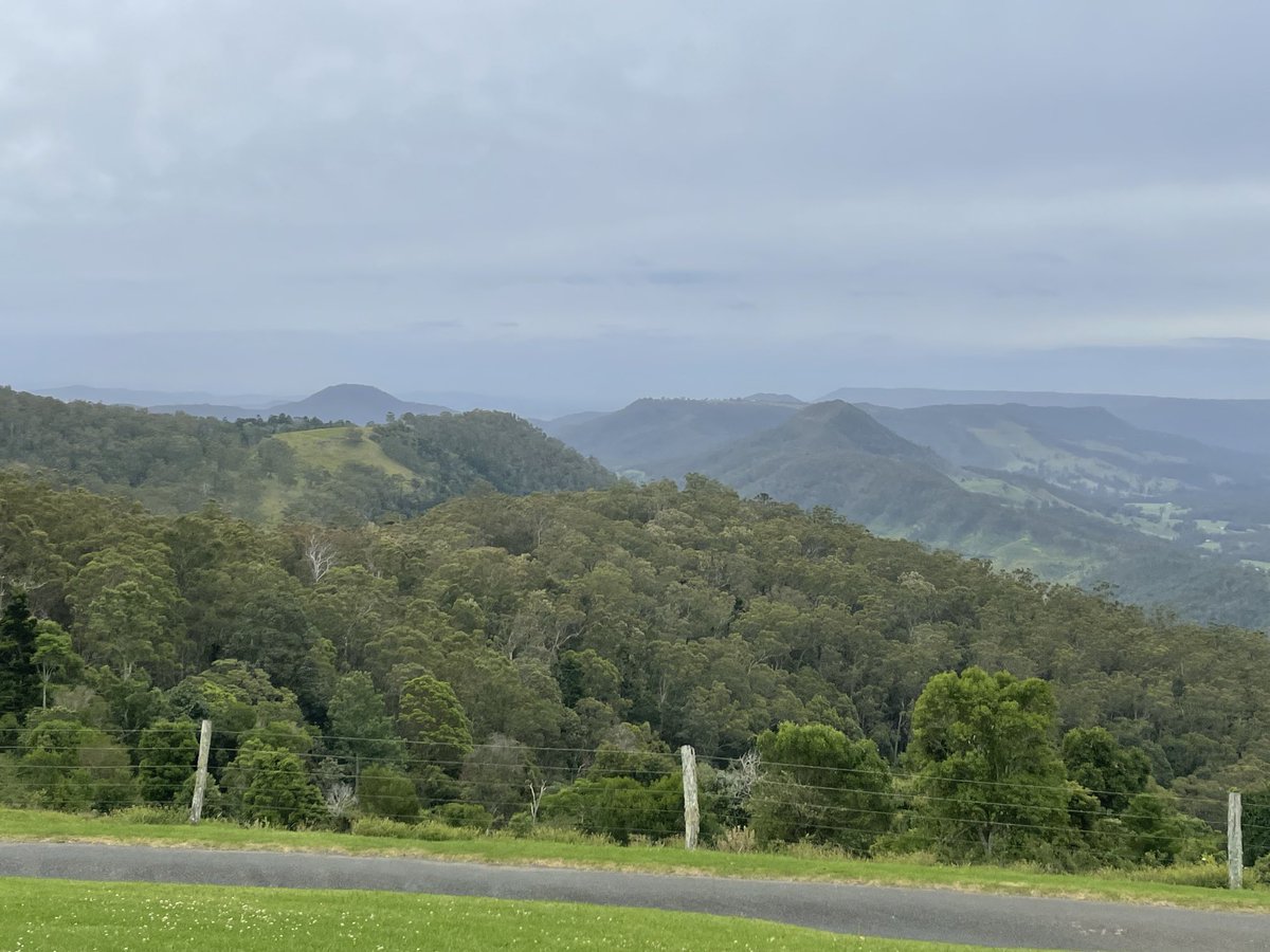 ChefColcombe's tweet image. Amazing walk in the rainforest in Lamington national park #Brisbane #Goldcoast