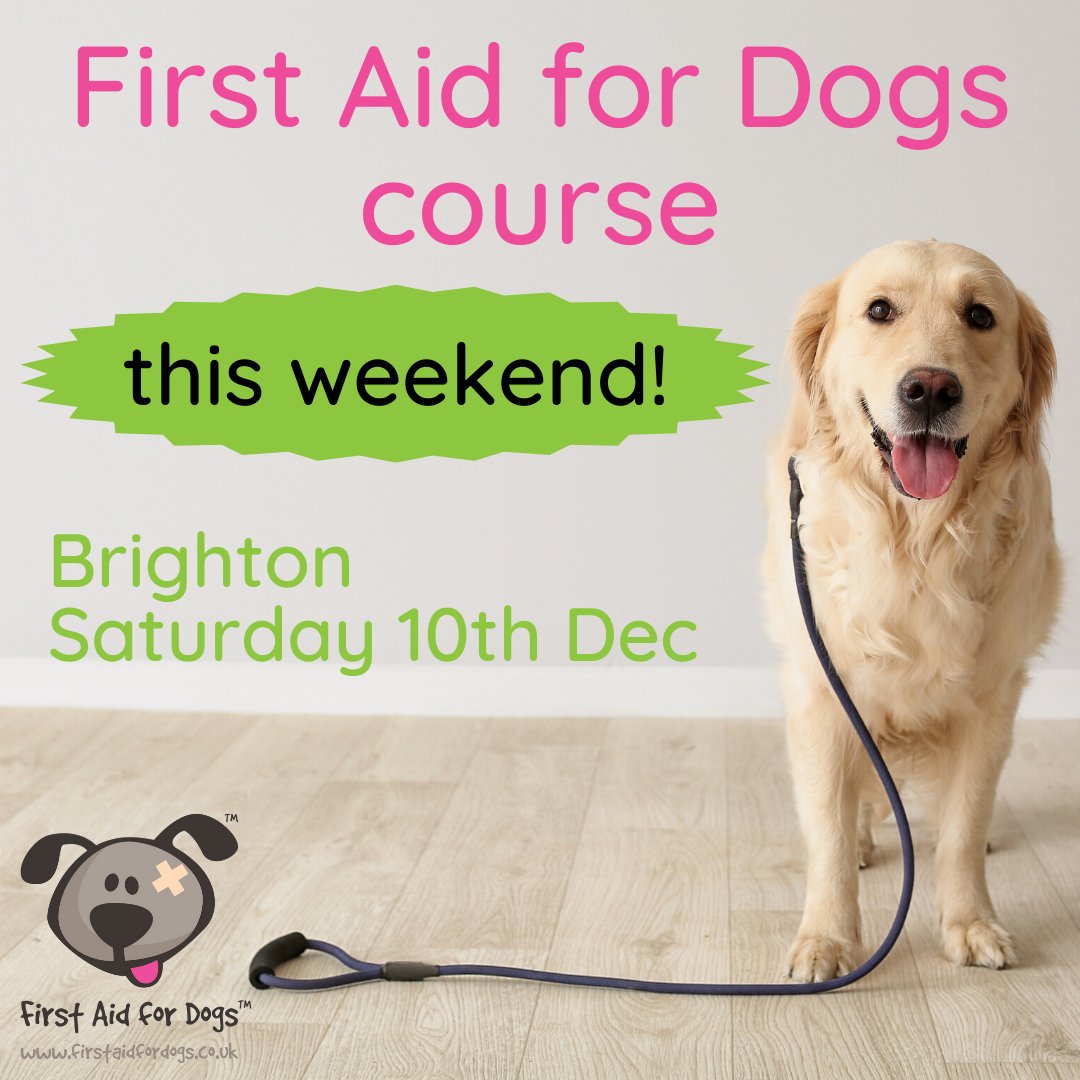 First aid for dogs (@firstaidfordogs) / Twitter First aid for dogs (@firstaidfordogs) / Twitter