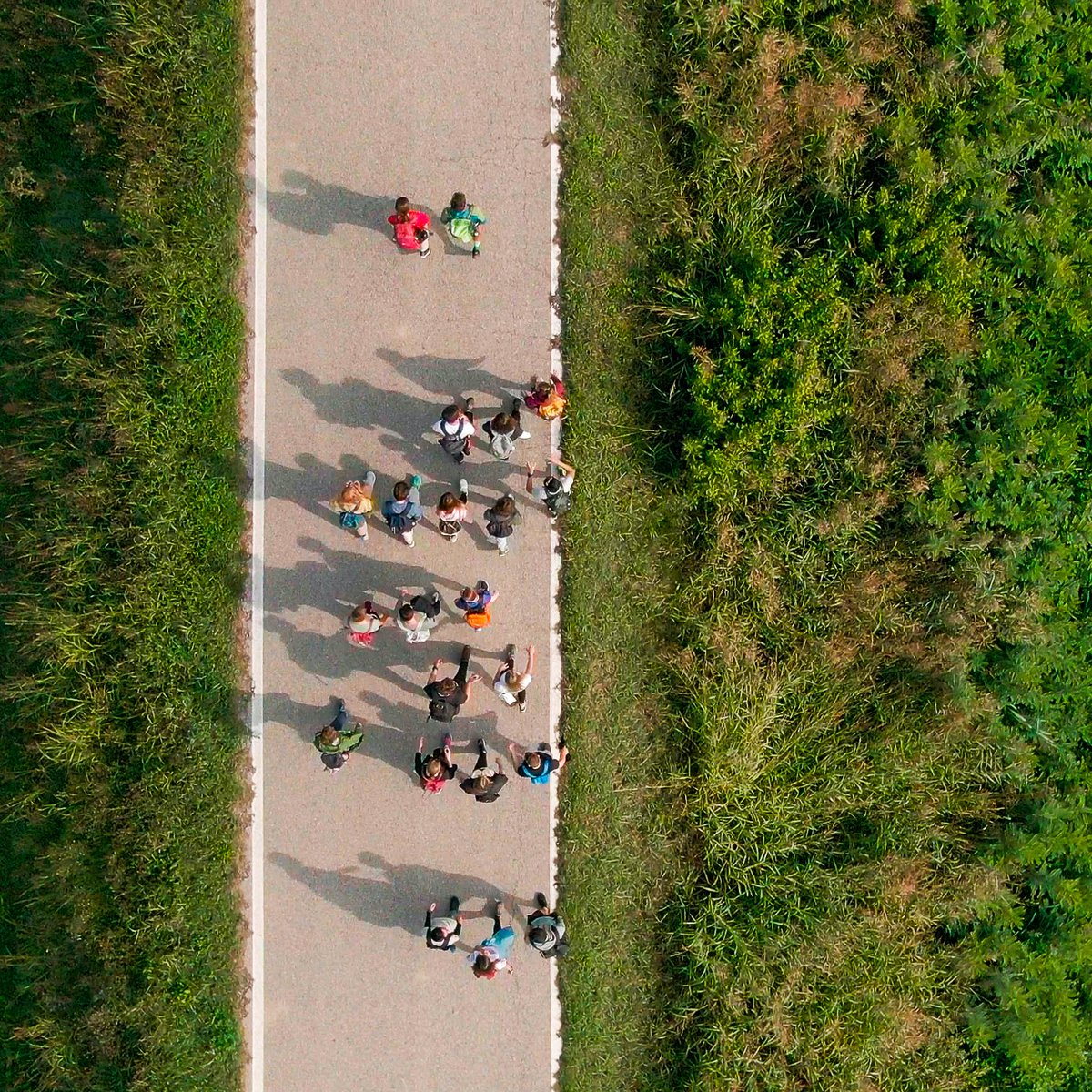 Università di Padova tweet media
