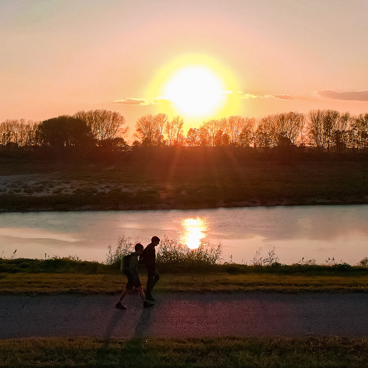 Università di Padova tweet media