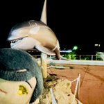 むつきのツイート画像
