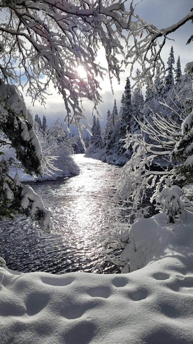 bcb490's tweet image. My favorite spot to take a pic on the Yogi Trail, this is the Corner Brook stream which is part of the water supply for Corner Brook, Massey Dr and Mt. Moriah. Might as well embrace the snow, it's here to stay ❄️🙂
#winterfun 
#retiredlife 
@CornerBrook