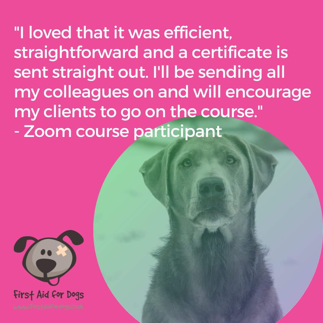 🐕Whether you choose our Zoom First Aid for Dogs course, our online course or our face-to-face option, you can be guaranteed an excellent learning experience.
🐩We've been training dog lovers and dog professionals for over 9 years!
🐶Book now: bookeo.com/firstaidfordog…