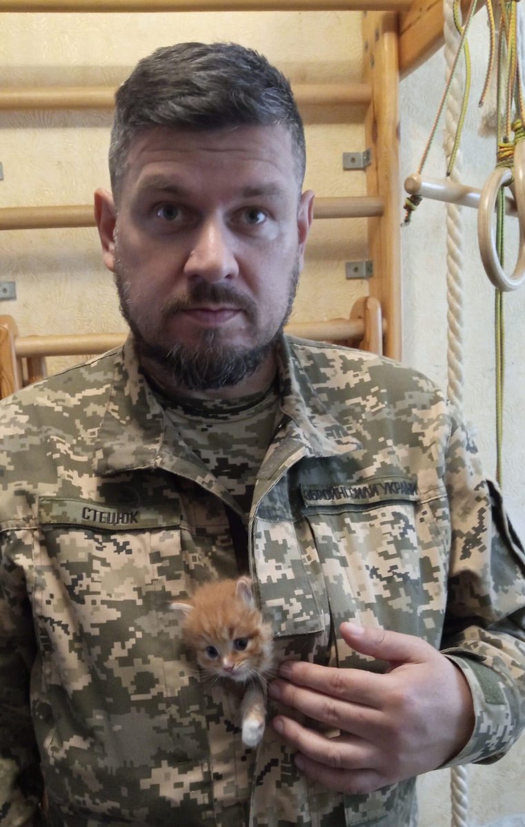 UAarmy_animals tweet picture