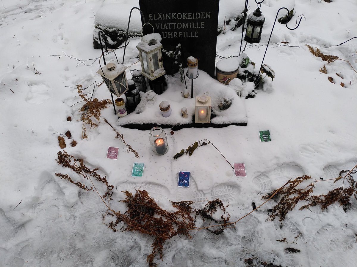panupihkala's tweet photo. Vietimme kadonneiden lajien muistopäivää pienellä porukalla Helsingissä ja samalla muistimme muitakin kovilla olevia eläimiä. #remembranceday2022 #silentopia #ympäristösuru #ympäristötunnekortit https://t.co/JQPIbkjeX3