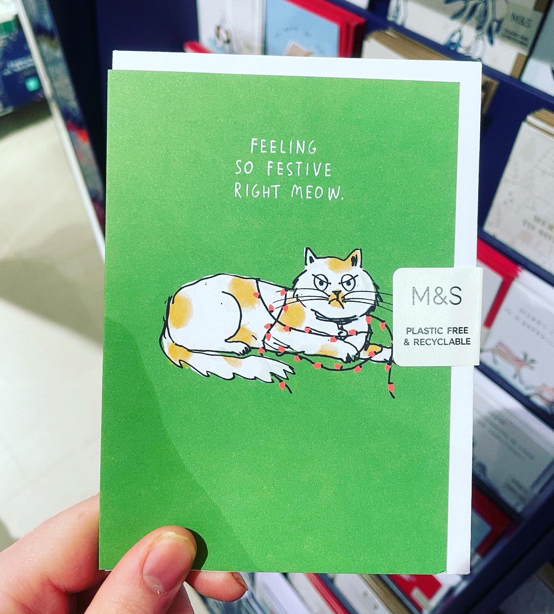 Spotted some 🐱 &amp; 🐶 Christmas designs in M&amp;S 🎄👀🎄 #illustration #christmas #creative #art