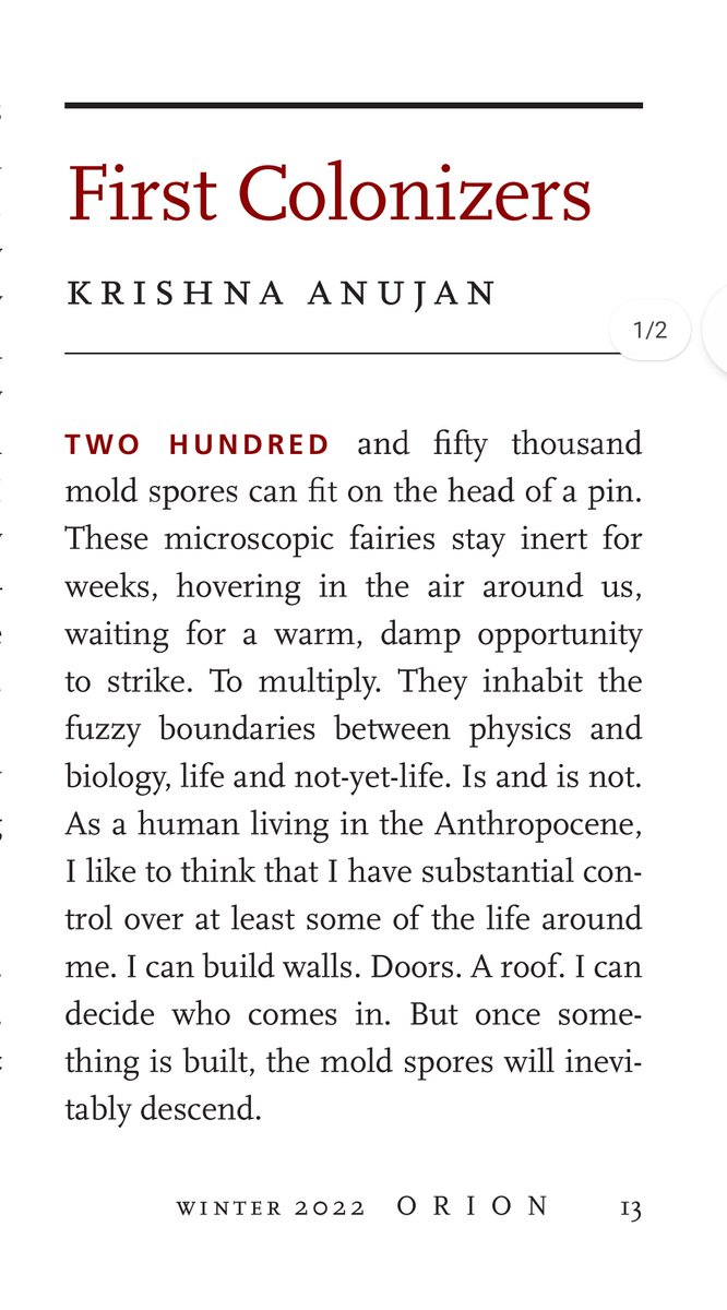 ecological maudlin 🍃 (@krishnaanujan) on Twitter photo A tiny piece that I'm very happy about is out in <a href="/Orion_Magazine/">Orion Magazine</a> this week! Very grateful for the workshop that led to this and thank you @Kjyale for being a wonderful editor!
DM and I'll share some weird, moldy love! A tiny piece that I'm very happy about is out in <a href="/Orion_Magazine/">Orion Magazine</a> this week! Very grateful for the workshop that led to this and thank you @Kjyale for being a wonderful editor!
DM and I'll share some weird, moldy love!