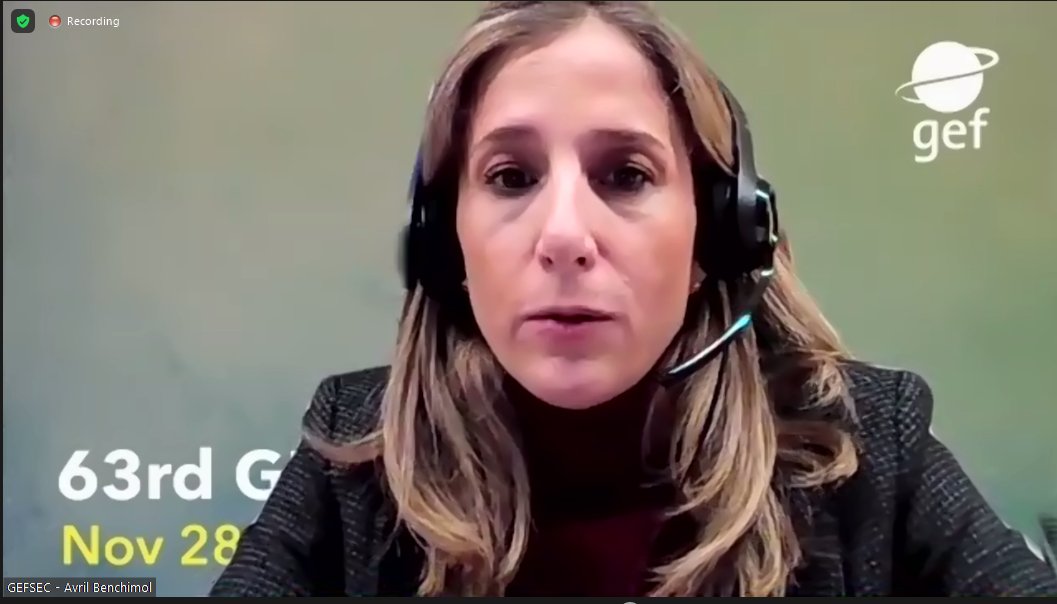 Day 3 of #GEFCouncil63 starts, with Avril Benchimol, <a href="/theGEF/">Global Environment Facility (GEF)</a> Secretariat, presenting the GEF Blended Finance Program and the policy update for Non-Grant Instruments to mobilize private sector investment in projects that generate global environmental benefits.