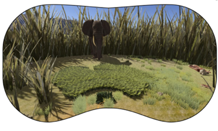 bachlab_cog's tweet photo. Download our VR games used in this pre-print and play them at home (at your own risk - it might be scary). We are working towards a community portal such that interested players can share their data with us. https://t.co/xPq0neioOg https://t.co/STU8vZElyb