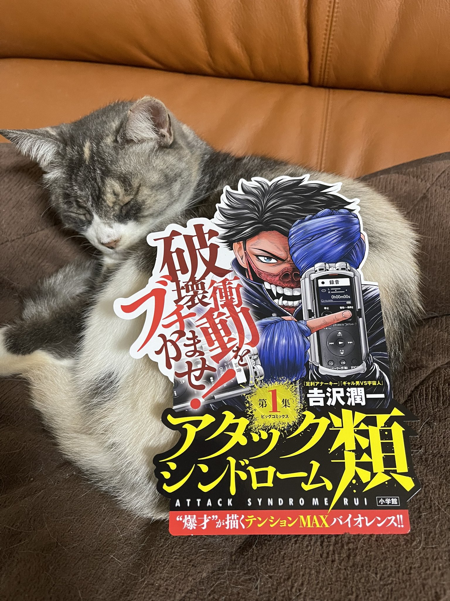 吉原三等兵 Ftettvis1v4dmgs Twitter