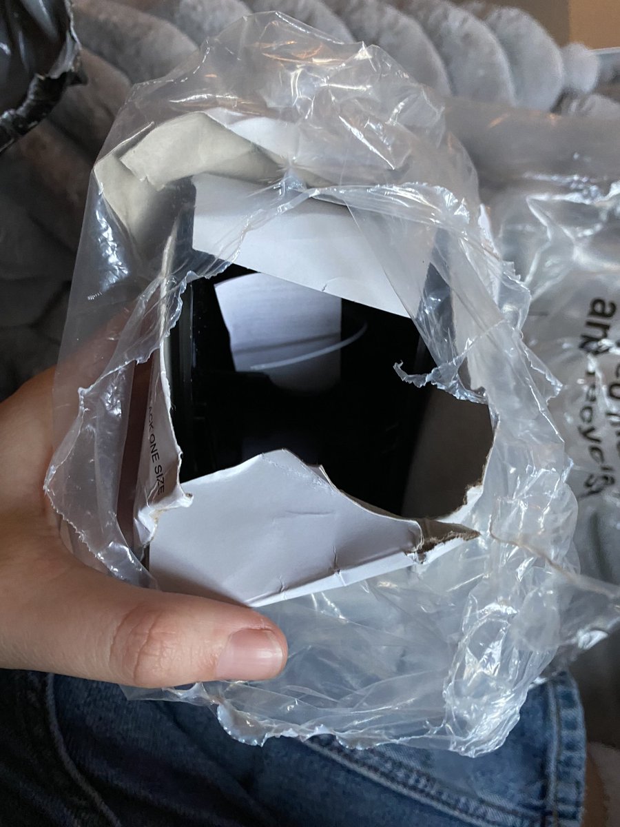 Abbie Ford tweet media