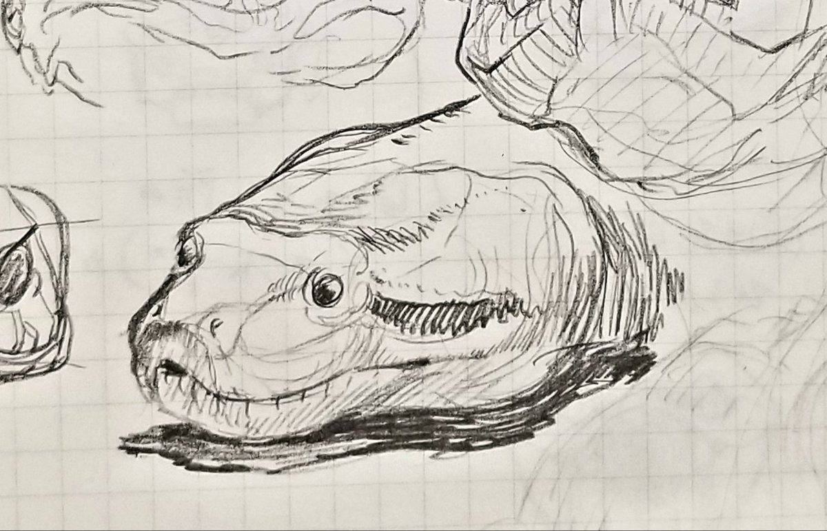 #やじるのらくがき
そういえばニシキヘビ系を描いたこと無いなぁと思ってアナコンダを描くなどした。 