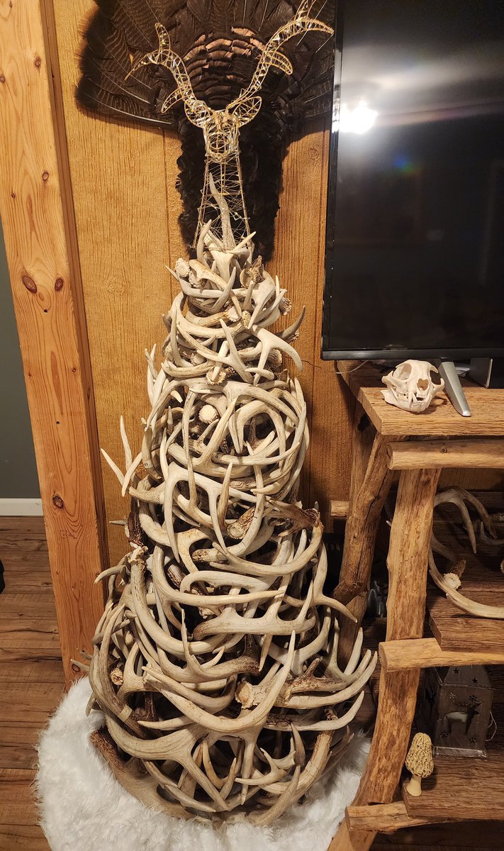 Doe & Arrow Hunting tweet media