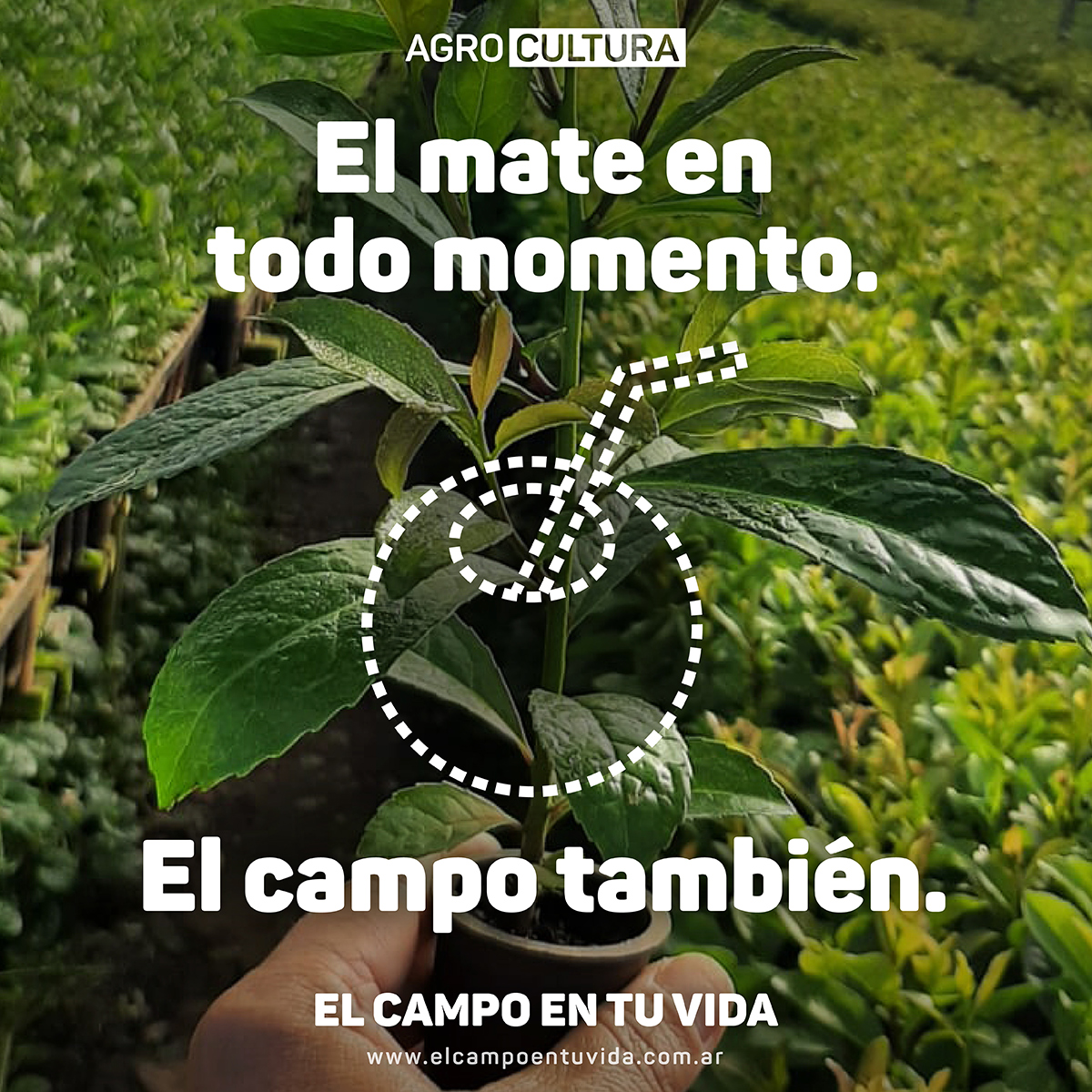 Con palo, sin palo o con aromáticas. Dulce o amargo. Elijas lo que elijas, siempre es un buen momento para disfrutar de un rico mate 🧉. En cada sorbo está #ElCampoEnTuVida ¿Hay un ingrediente secreto en tu mate para acompañar a la selección? #VamosArgentina @INYMArg