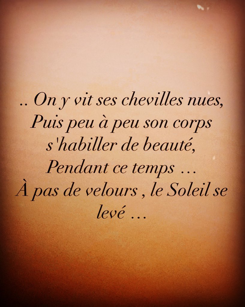 ClaSamaVous's tweet photo. Mercredi matin 🌞 #aurora #matin #poésie #poeme #automne #ecriture #poetry #community https://t.co/l3yWOfqzvk