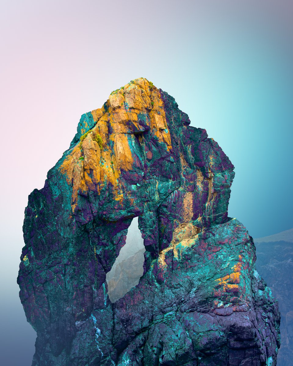 Tom Leighton tweet media