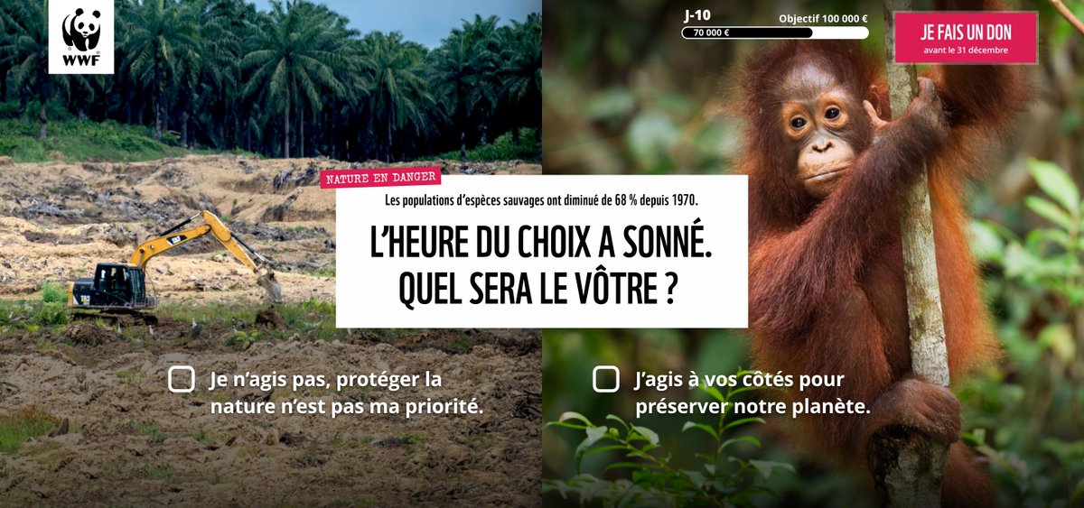 unpotedanslacom's tweet photo. Cette campagne @WWFFrance « L’heure du choix a sonné, quel sera le vôtre ? met en scène des images de déforestation et de vie animale pour matérialiser la dualité de l’inaction.

Agence : @isoskele

En savoir + ▶️ https://t.co/KZ3WE1YiSd https://t.co/s4x0shIBo0
