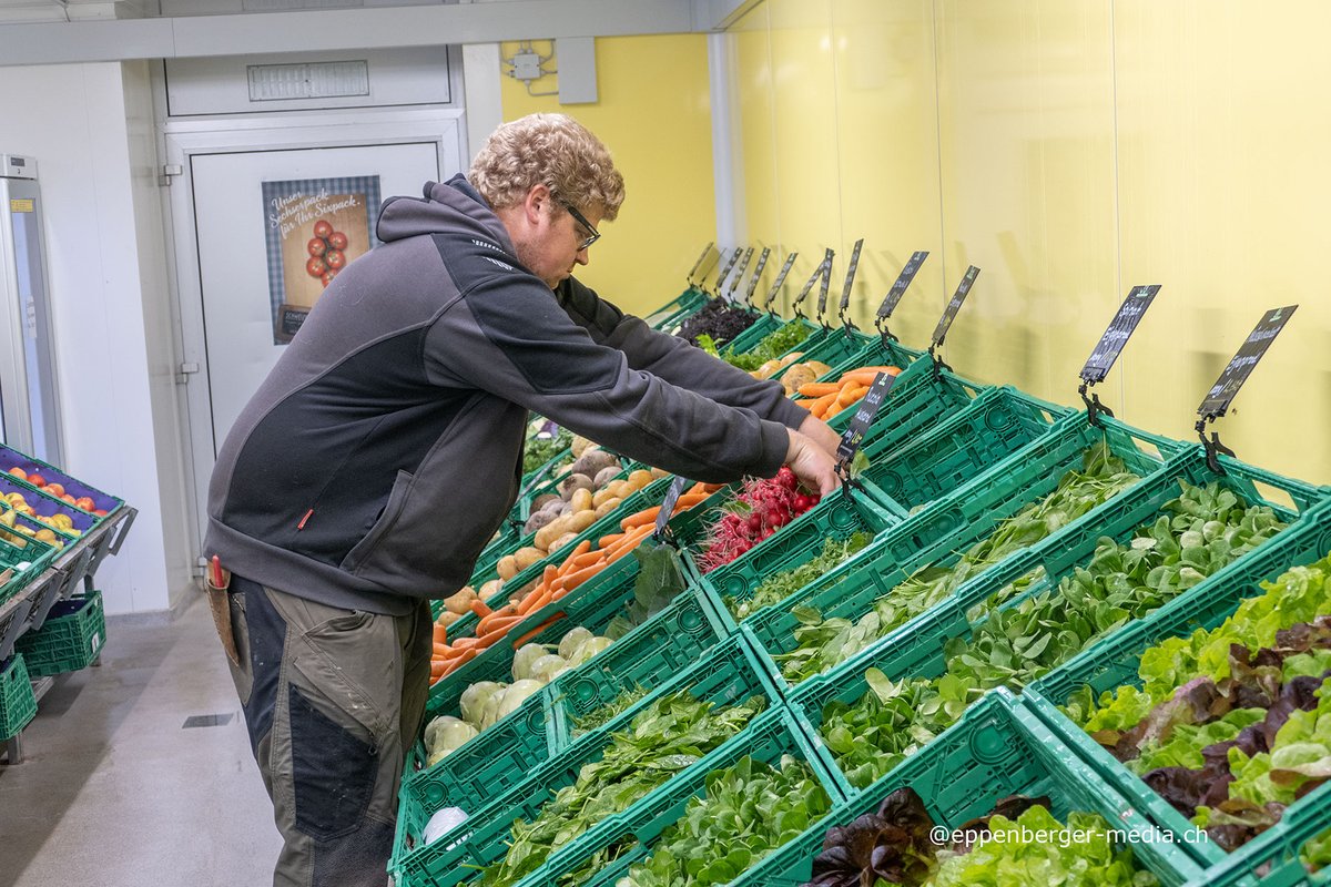 Direktvermarktungsbetriebe spüren die schwindende Kaufkraft in der Bevölkerung. Die Kundschaft weicht auf günstigere Gemüse aus. Die Umsatzeinbussen betragen in den letzten Monaten je nach Region bis zu 30 Prozent
eppenberger-media.ch/10er-anstatt-5…