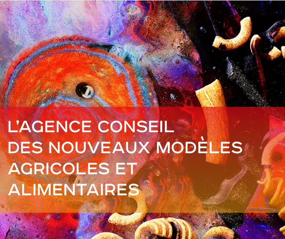 L’agence Communicante vous donne rendez-vous courant décembre...⏳🤫 
Une idée de ce que l’on prépare ?