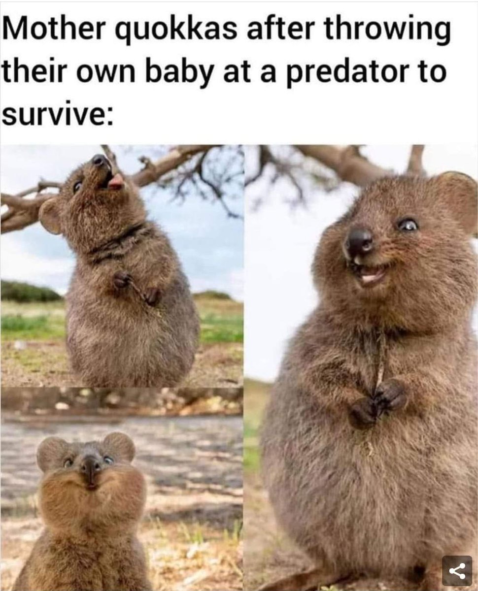 A Chad mom #dankmemes