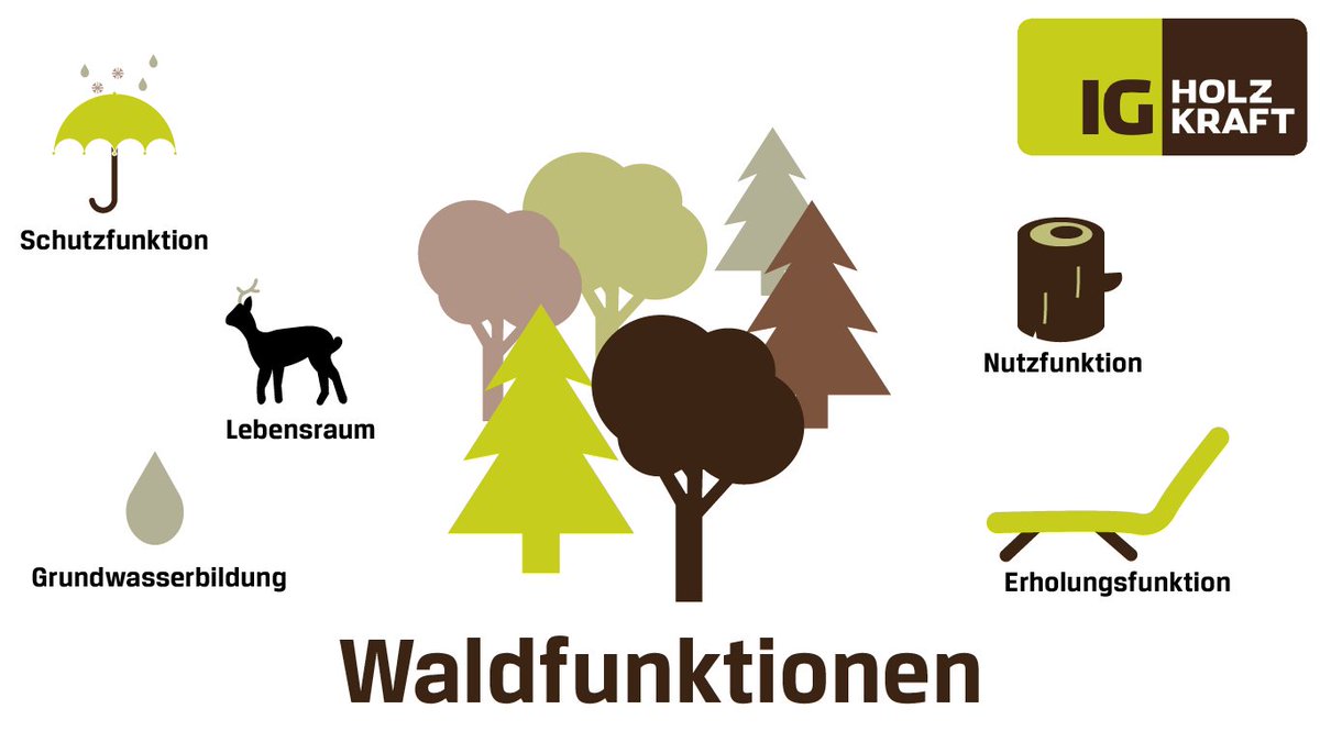 Der Wald hat viele wichtige Funktionen, von Erholungsfunktion über Lebensraum für Tiere und Pflanzen bis hin zur Grundwasserbildung. 🌲

Mehr zu den Waldfunktionen und er Waldnutzung finden Sie in unserer neueste Holzkraft recherchiert Ausgabe:
ig-holzkraft.at/ausgabe-14-wal…