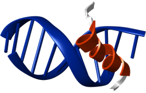 structbio_cssb's tweet photo. Today at 1 PM! 12th Structural Biology Club Tobias Madl on Intrinsically disordered regions in #trascription regulation and @GaiaPigino on #selforganisation in #cilia
https://t.co/xHPKYaKoWj https://t.co/0DPMJRT31f