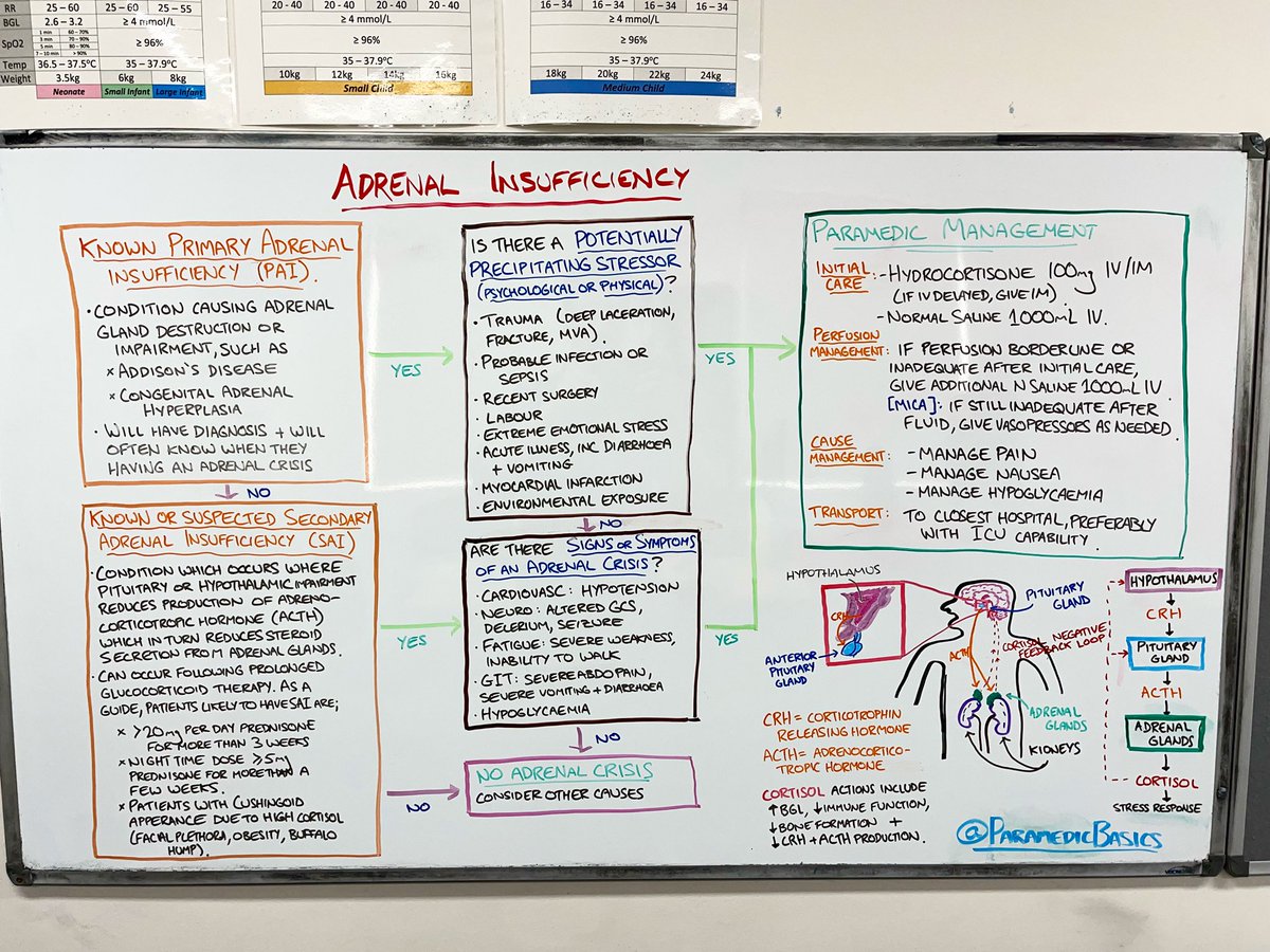 ParamedicBasics tweet media