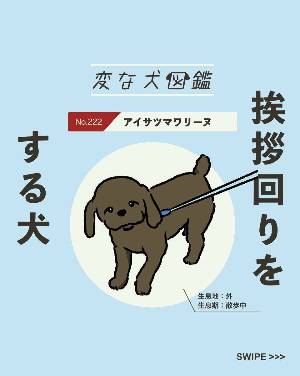 【#変な犬図鑑】
No.222 アイサツマワリーヌ
挨拶回りをするあの犬です。 