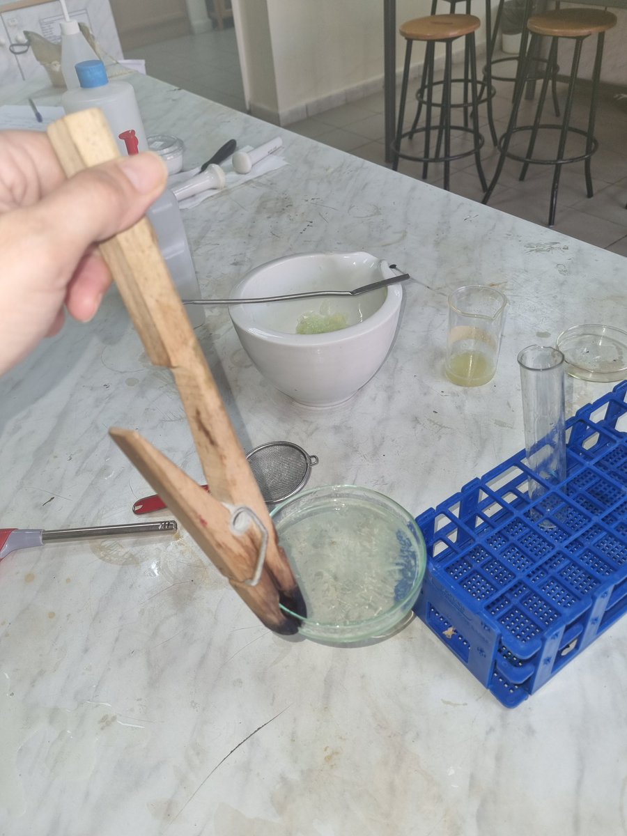 TahaniDandashli's tweet photo. DNA extraction for onions
#lab_work
@manar_kanawaty @MakassedSaida https://t.co/utTEK7wvVL