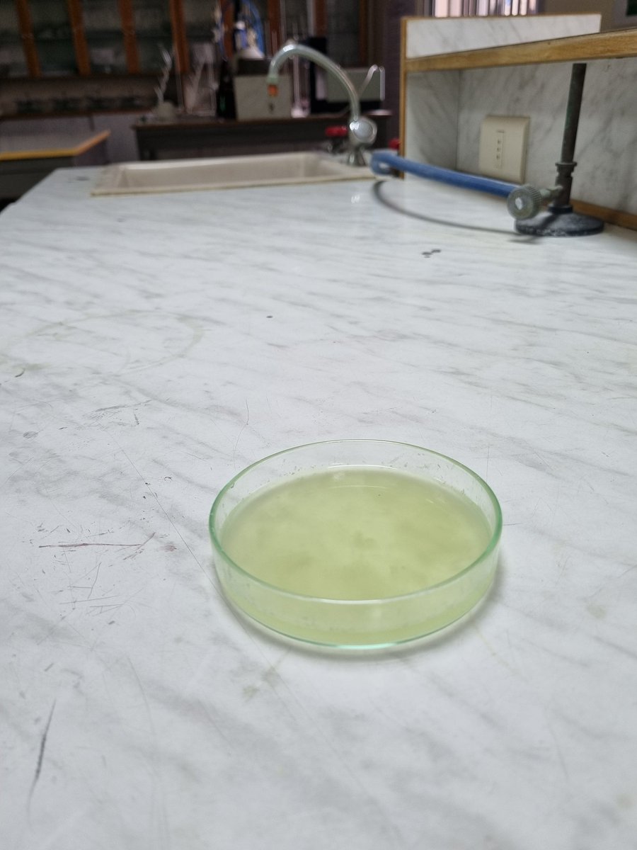 TahaniDandashli's tweet photo. DNA extraction for onions
#lab_work
@manar_kanawaty @MakassedSaida https://t.co/utTEK7wvVL