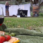Photo by Destination Garden Route #SouthAfricaIsTravelReady (@DestGardenRoute)