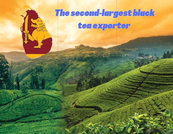 Investin_SL's tweet photo. #DidYouKnow
🔴#SriLanka is the second-largest exporter of
black #tea
🔶🇱🇰 expected to #grow 0.6 % annually
🔶Global #teaconsumption stands at 6.3 Bn Kgs &
7.4 Bn Kgs estimated by 2025
🔶Global #teamarket is expected to reach USD
266.7 Bn by 2025 https://t.co/FKlyh51bMB