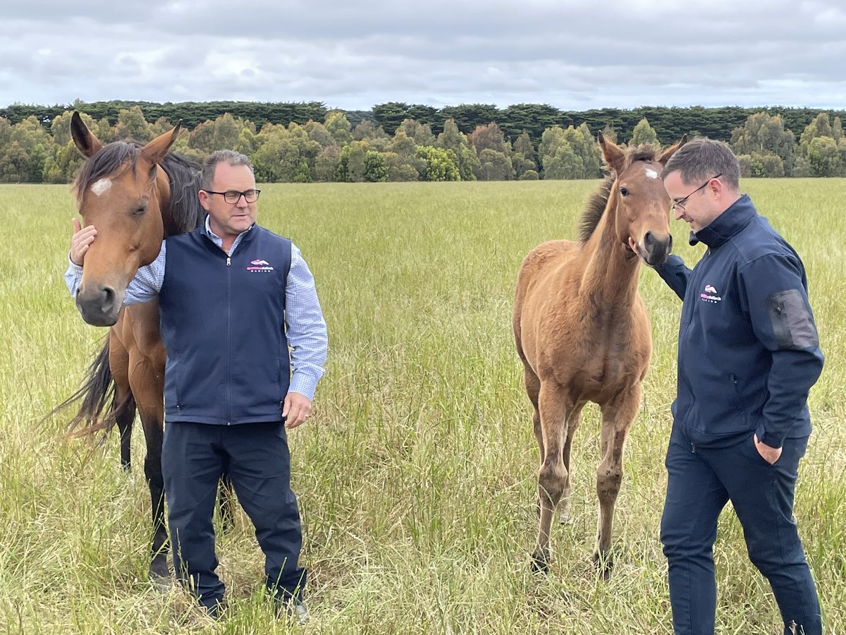 Griffiths Racing (@griffithsracing) on Twitter photo Mother of our stable star Let’sbefrankbaby and her baby half brother….. thanks for the tour <a href="/GlentreeTbreds/">Glentree Thoroughbreds</a> <a href="/dekock_m/">mathew de kock</a> Mother of our stable star Let’sbefrankbaby and her baby half brother….. thanks for the tour <a href="/GlentreeTbreds/">Glentree Thoroughbreds</a> <a href="/dekock_m/">mathew de kock</a>