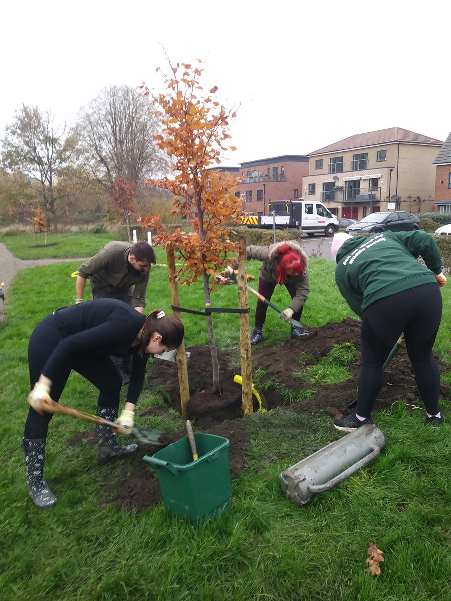 PeelParkSalford's tweet photo. We've put x12 new trees @PeelParkSalford and Crescent meadows thanks to everyone who helped - grounds maintenance @SalfordCouncil  @UoS_Sustain  @UOSWildSociety https://t.co/g5d6vqy3Zr
