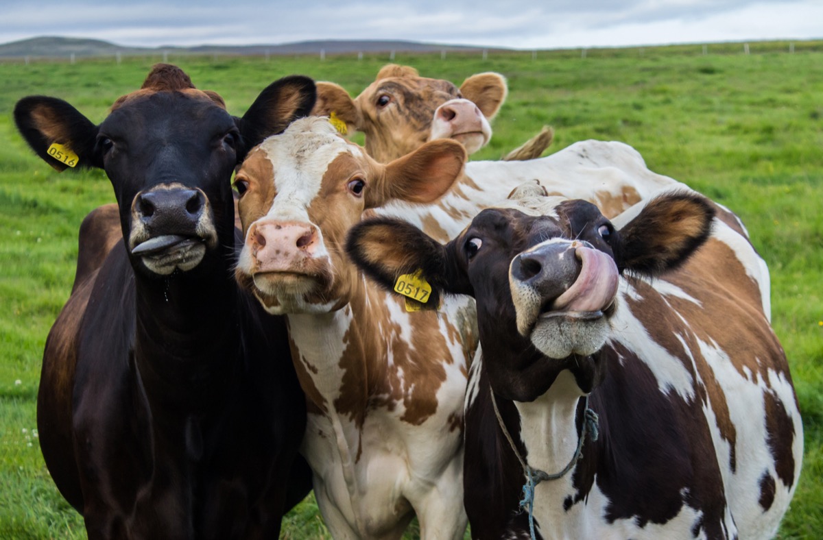aba_beef's tweet photo. Weekly Tictacs- 28/11/2022 - https://t.co/R8MxksMEKB

Please feel free to like and share https://t.co/h728PWsstp