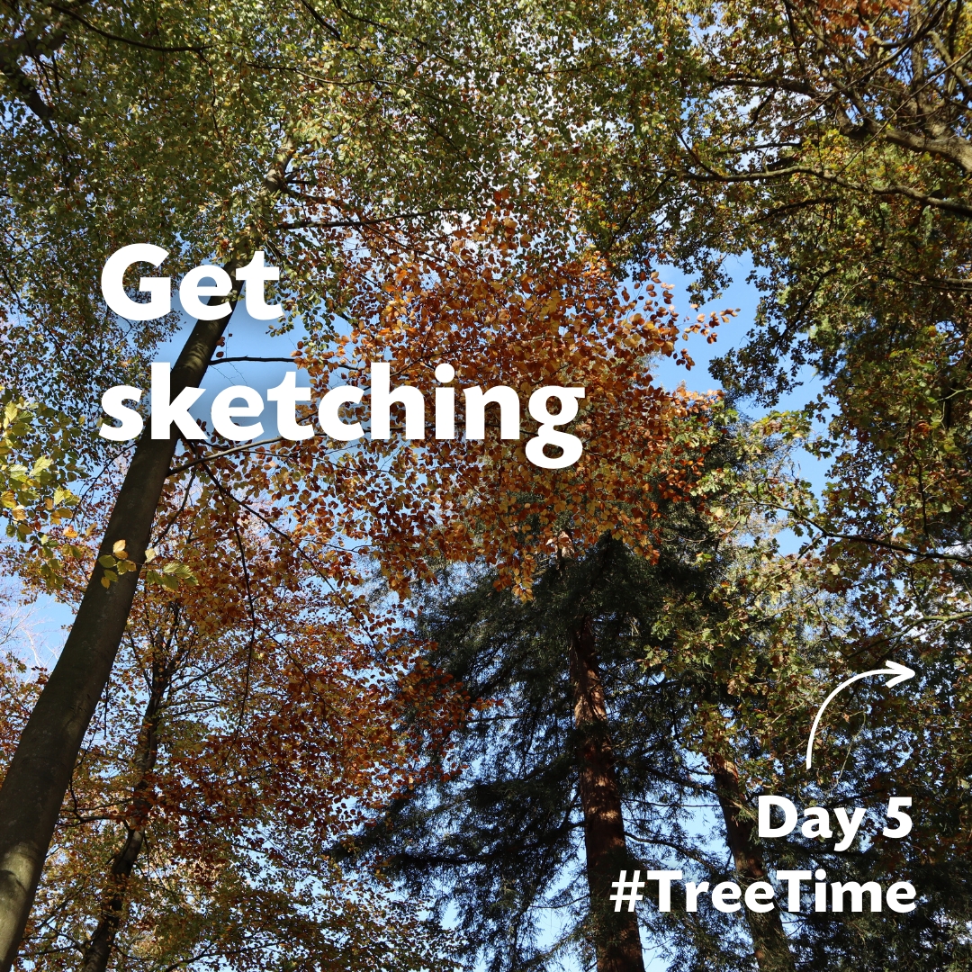 The Tree Council tweet media