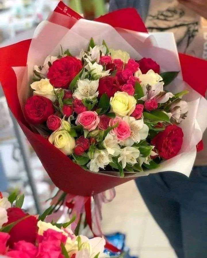 ahmedvids's tweet photo. @ahjSsuqFCgMD7bW صباح الخير https://t.co/4vRK03NRiv