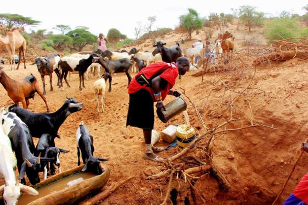 bbchausa's tweet photo. Ministocin Kenya sun hakura da albashinsu don yakar fari
https://t.co/jS4VW3dO60 https://t.co/mr6v6HWTbK