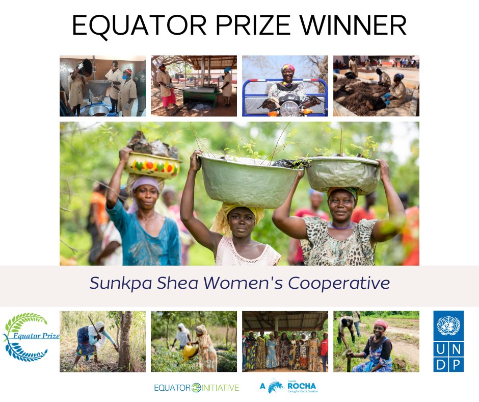 Today, the Sunkpa Shea Women's Cooperative join nine other organisations from across the world to officially receive the #EquatorPrize Award2022.  
You're invited to be a witness.
Kindly click on the link below⬇️
bit.ly/3OMPtWR
Time: 2:00pm GMT. See you there!
#SheaWomen
