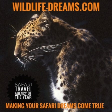 Making your Safari Dreams come true 🐾

#wildlifedreams #safari #bucketlist #Africa #wildlife #big5 #wildlifeholidays #travel #travelagent #wildlifehides #wildlifephotography 

Your own Personal Itinerary with over 30 years experience 🐾

Info@wildlife-dreams.com