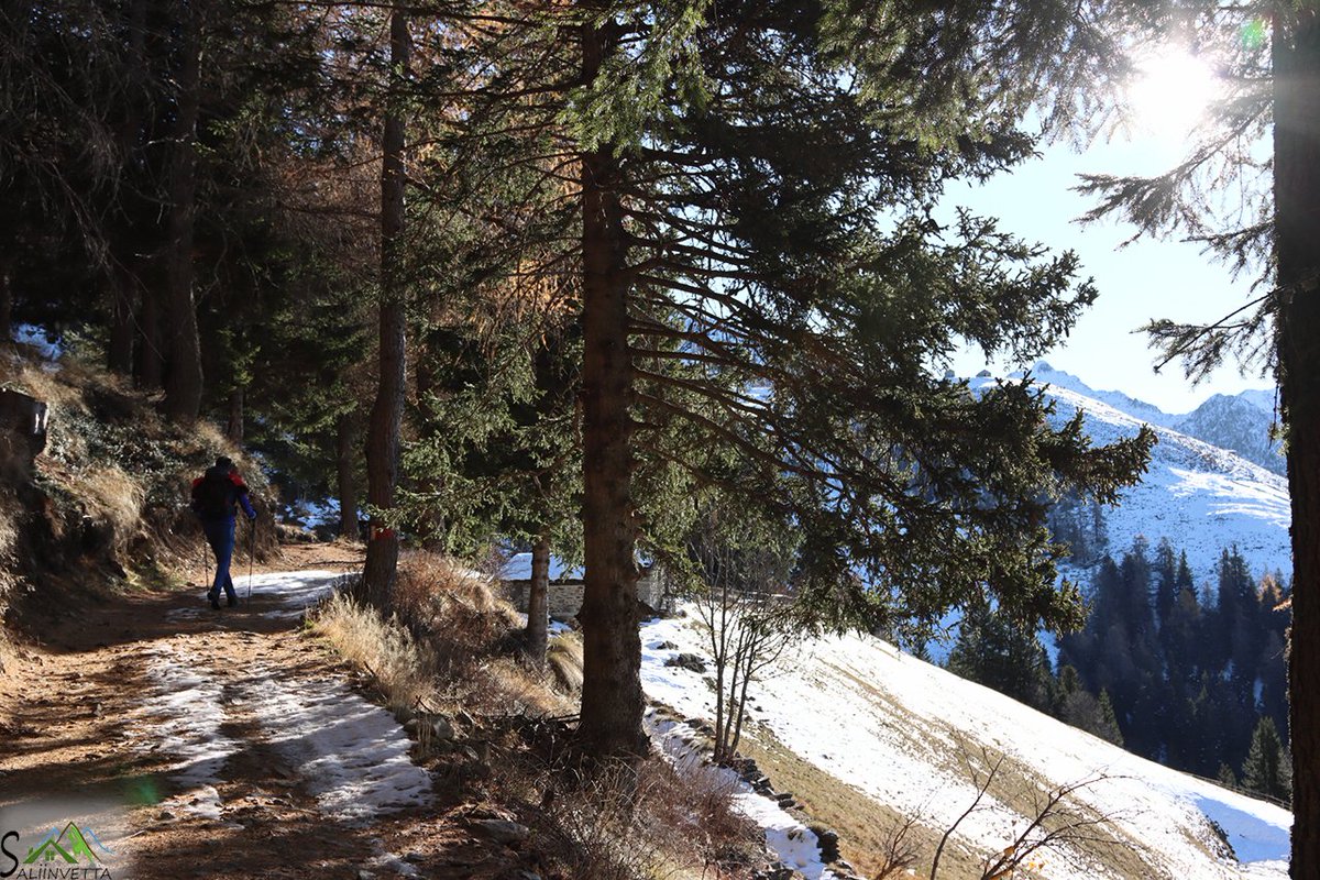 Saliinvetta's tweet photo. #Trekking al bellissimo Rifugio Alpe Piazza, nel cuore del Parco delle Orobie Valtellinesi:
https://t.co/nReuAQrwaN

@orobieit @OrobieUT @valtellina @ValtellinaWeb 

#alpepiazza #rifugi https://t.co/6UnztTQfzf