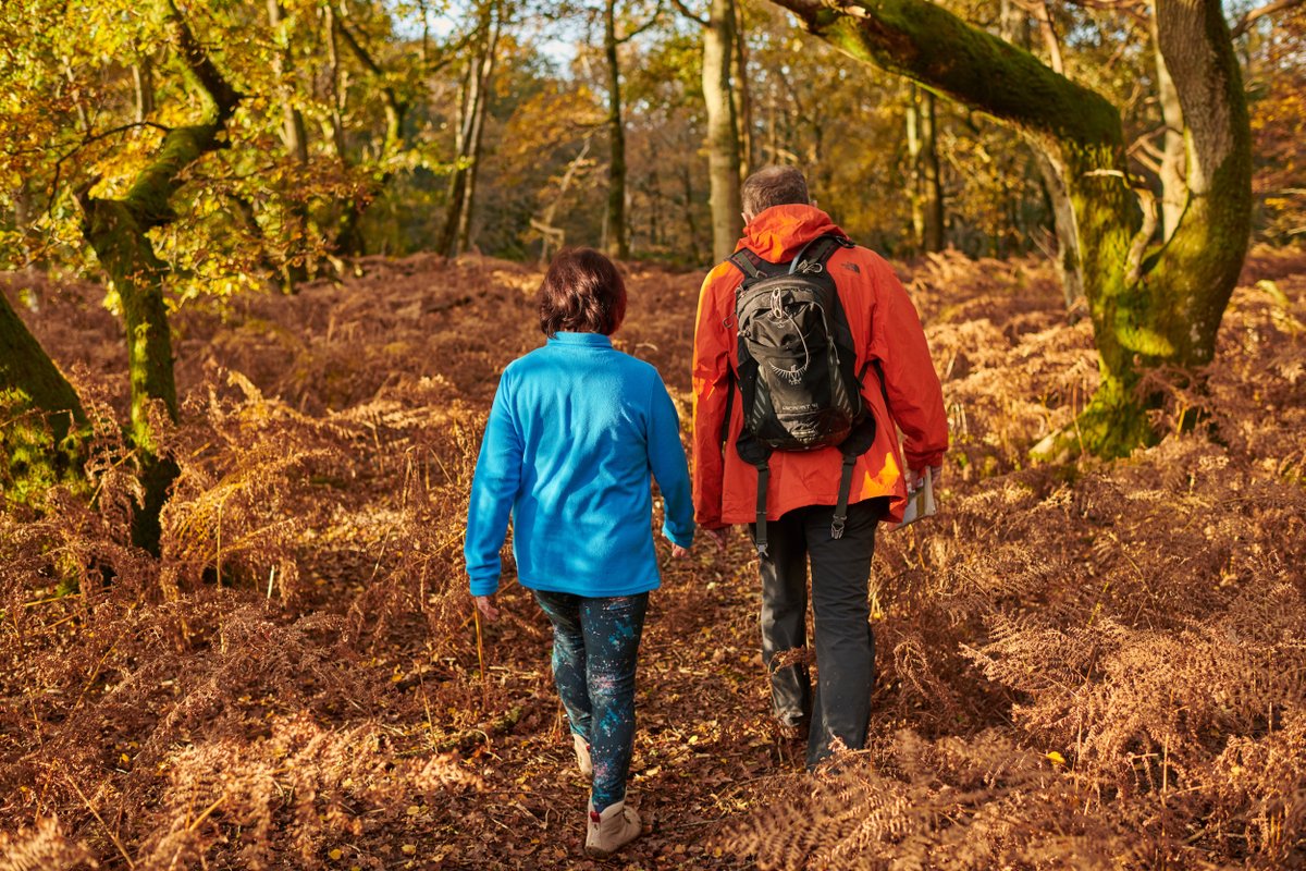 Expanding the #FreedomToRoam is one of the biggest things the government can do to increase access to the outdoors for everyone.

&amp; we know that better #AccesstoNature means we are:

🍎 healthier mentally &amp; physically
🌳 more connected to nature
🌎 &amp; more environmentally aware