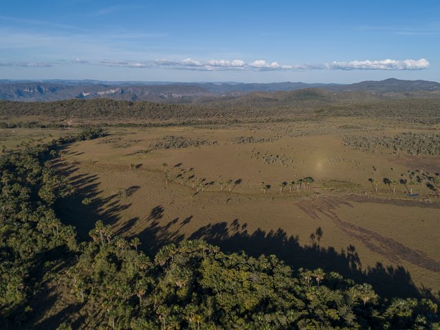 Pierre Cannet (@pierrecannet) on Twitter photo Excellente nouvelle: la France soutiendra l’intégration des “autres terres boisées” dans le nouveau règlement 🇪🇺contre la déforestation. Merci au Ministre <a href="/ChristopheBechu/">Christophe Béchu</a> (annoncé en point COP15). Cela protégerait 2x la surface de la France en savanes. A suivre #Together4Forests Excellente nouvelle: la France soutiendra l’intégration des “autres terres boisées” dans le nouveau règlement 🇪🇺contre la déforestation. Merci au Ministre <a href="/ChristopheBechu/">Christophe Béchu</a> (annoncé en point COP15). Cela protégerait 2x la surface de la France en savanes. A suivre #Together4Forests